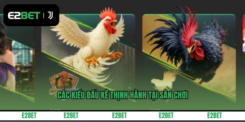 Các kiểu đấu kê thịnh hành tại sân chơi