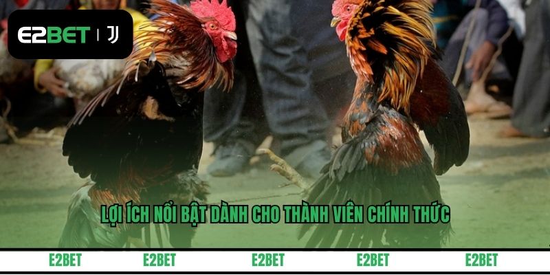 Lợi ích nổi bật dành cho thành viên chính thức