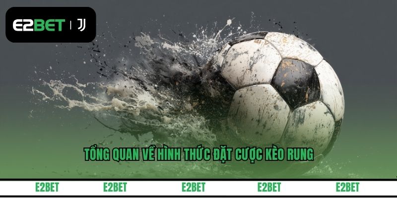 Tổng quan về hình thức đặt cược kèo rung